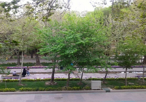 چهارباغ زیبای اصفهان شاهکاری دلگشا و فرح بخش