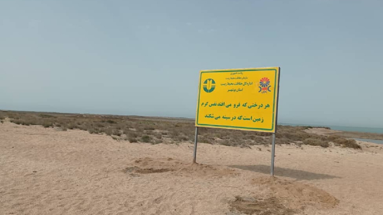 سواحل پارک ملی دریایی نایبند نفس تازه کرد