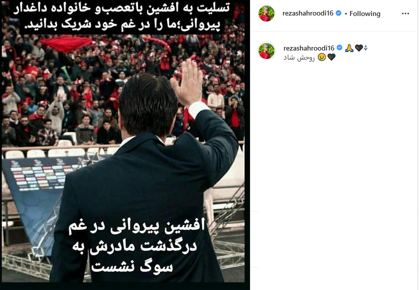 رضا شاهرودی