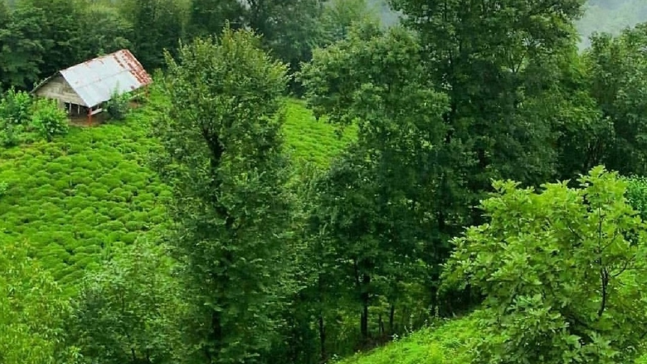 مناظر رویایی روستای خرماسیسکو در قاب دوربین شهروندخبرنگار + فیلم و تصاویر