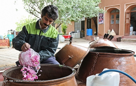 رده پای خام فروشی در صنعت گلاب و اسانس؛ به نام کاشان و به کام خارجی&zwnj;ها