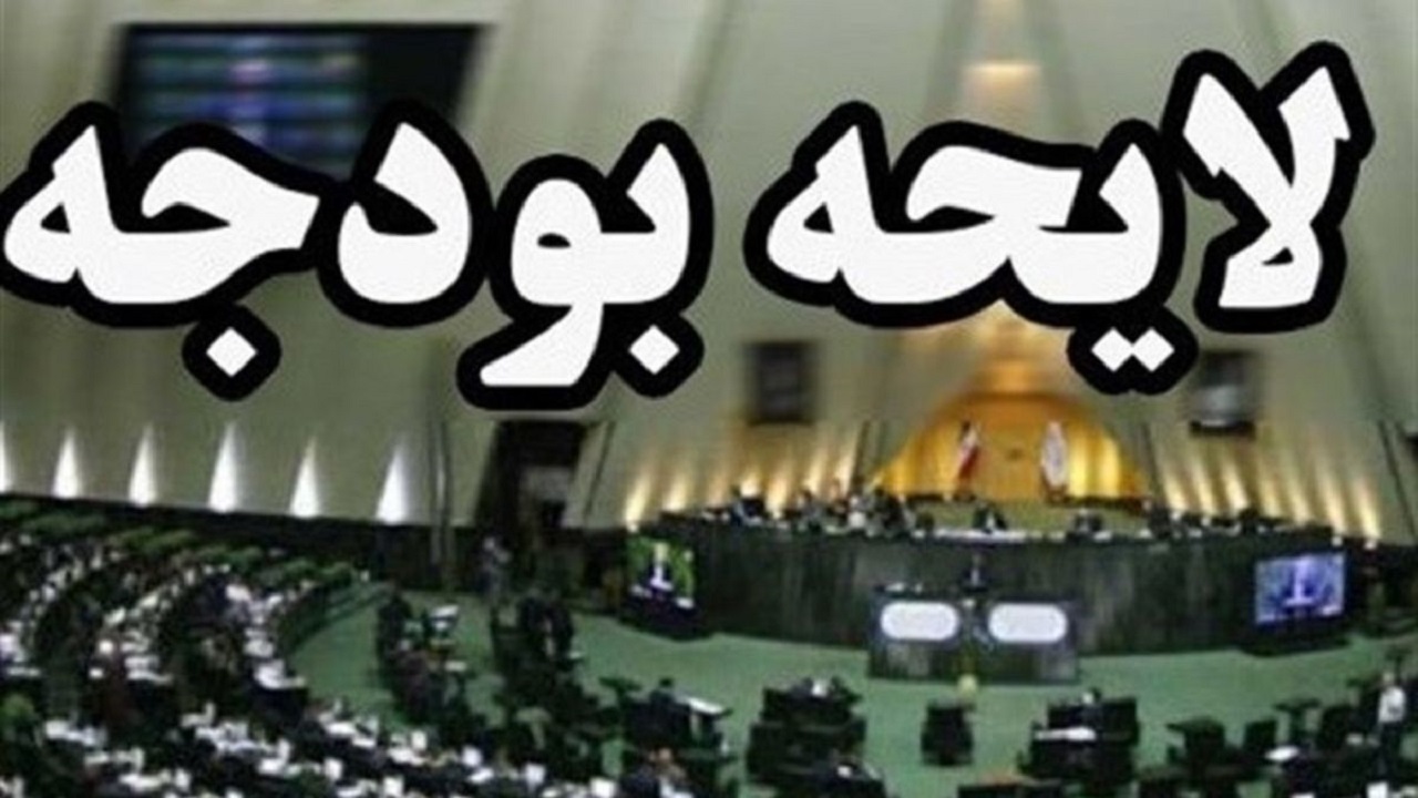 رویکرد مجلس در تصویب بودجه ۱۴۰۱ واقع‌بینانه است