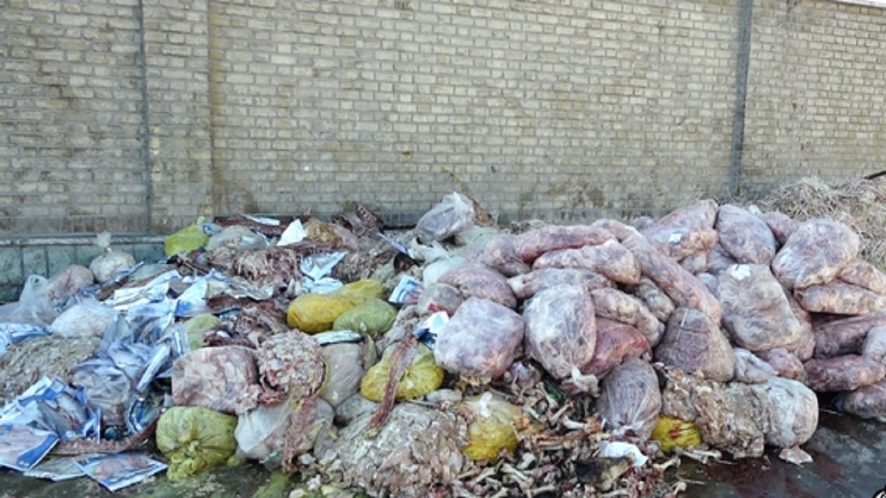 معدوم سازی ۹ هزار کیلوگرم گوشت آلوده در قم