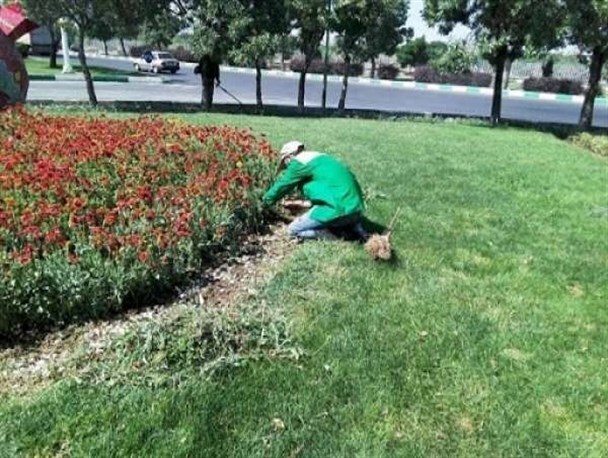 گلایه کارگران شهرداری بندرعباس از پرداخت حق بیمه