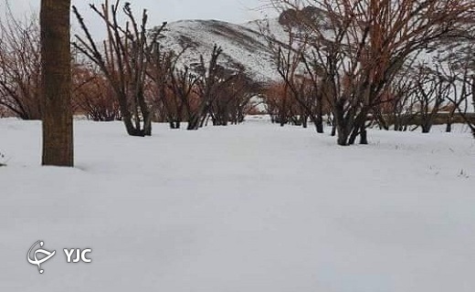 بارش برف در مناطق مختلف خراسان جنوبی