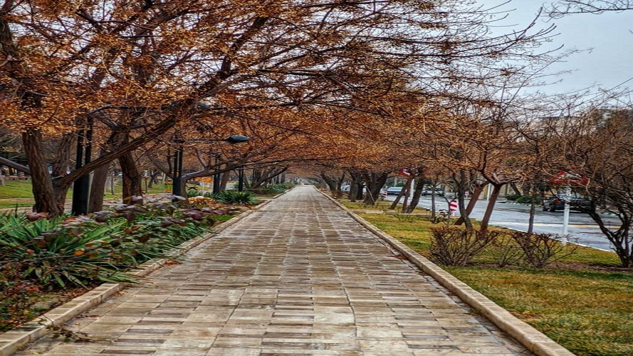 بارش باران در مشهد حال و هوای شهر را تغییر داد