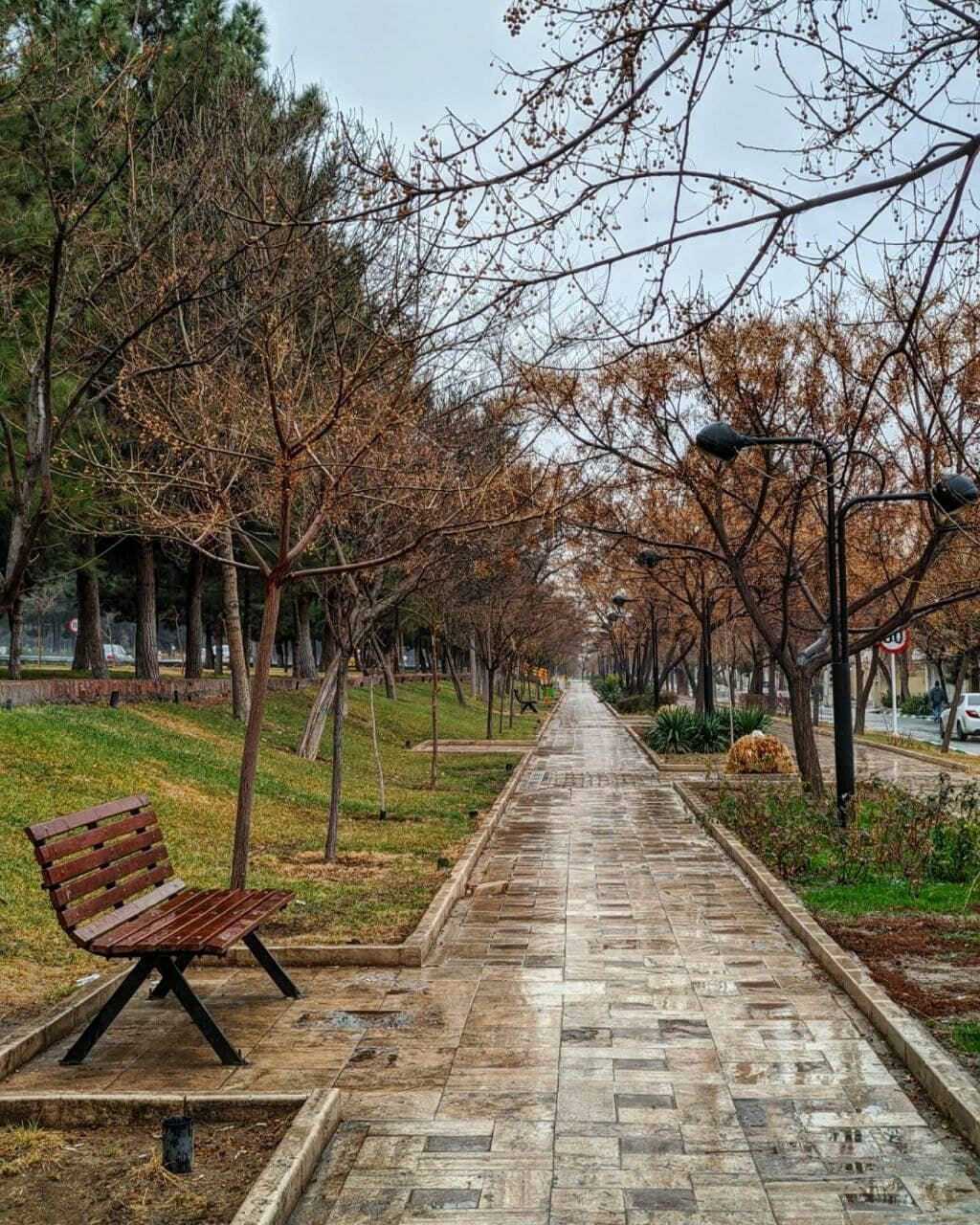 باران مهمان مجاورین امام مهربانی ها شد