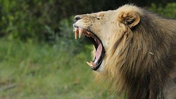 علل بروز سردرد در کودکان + فیلم