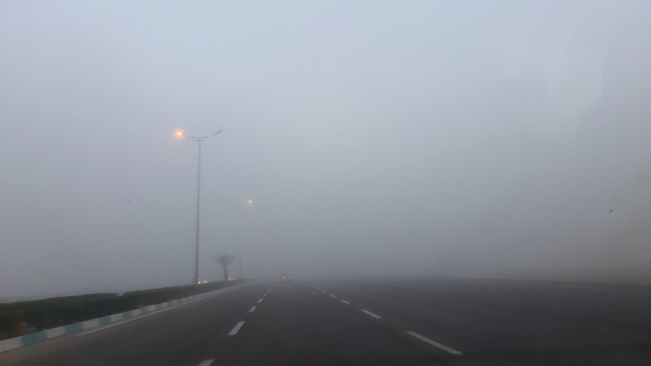 مه صبحگاهی در بوشهر