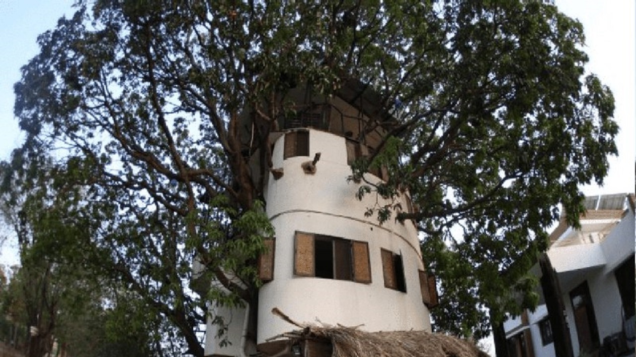 ساخت خانه روی درخت + فیلم