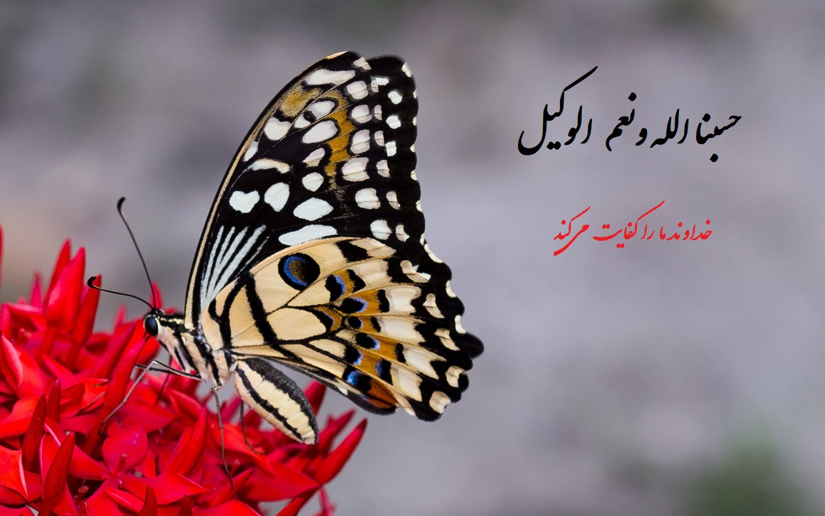 ذکرهای قرآنی آرام بخش زندگی/ &laquo;صلوات&raquo; را در خانه ها زیاد بفرستید