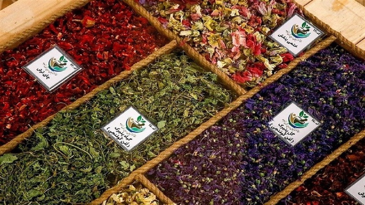 از توسعه گیاهان دارویی در مشهد حمایت می‌شود