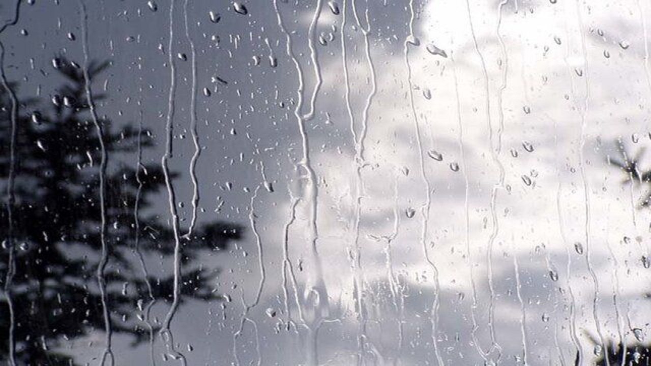 صدای شر شر باران در کهنوج پیچید + فیلم