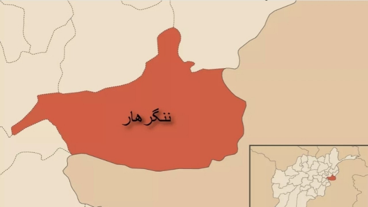 دستگیری 194 مجرم در ننگرهار