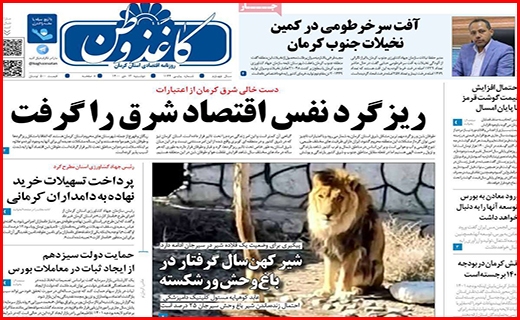 کاغذ وطن