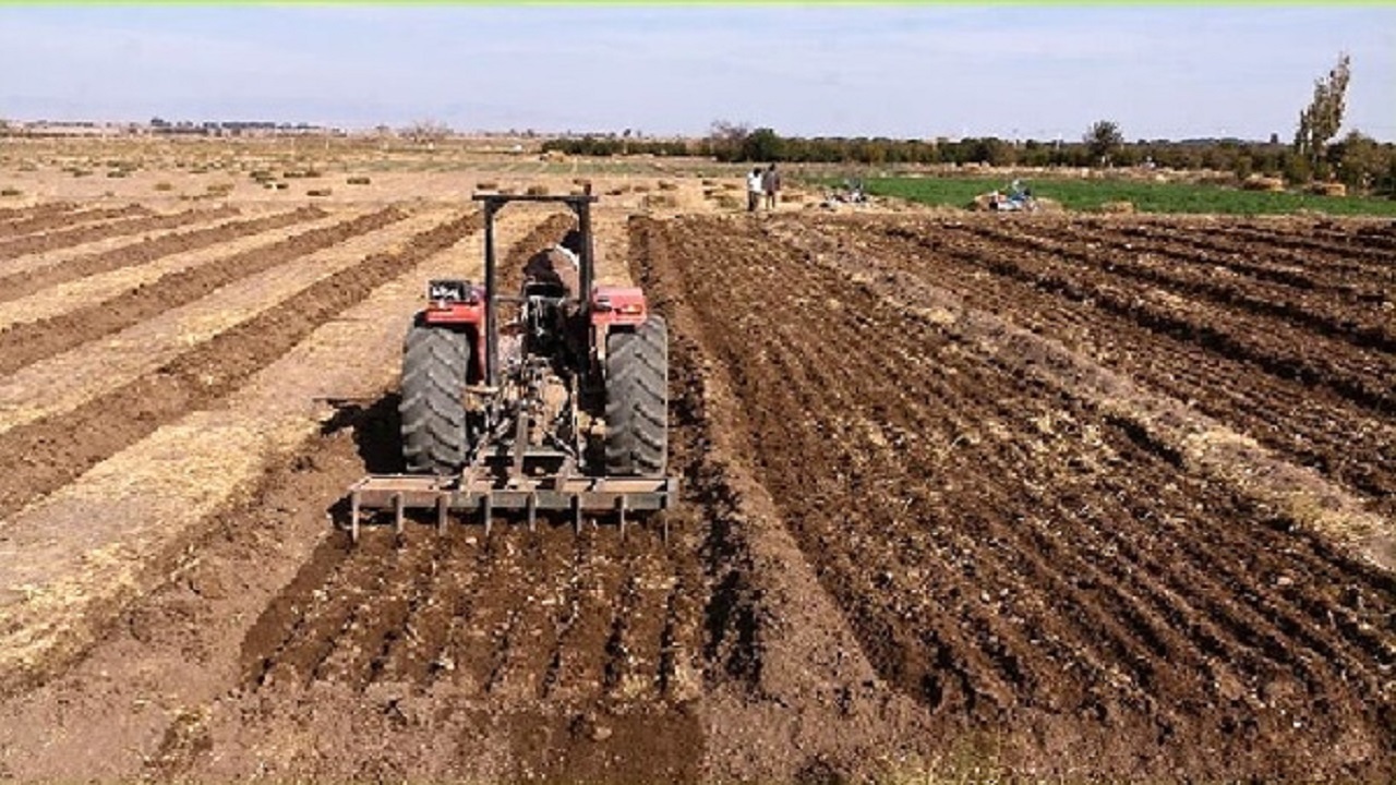 کشت غلات در بیش از ۳۹ هزار هکتار از اراضی خراسان جنوبی
