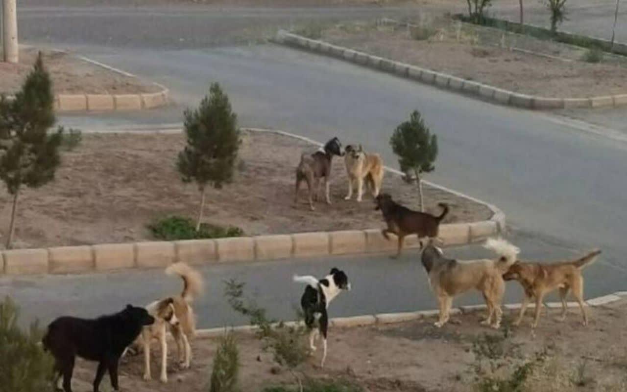 از