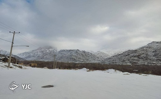 بارش برف در نیر یزد + تصاویر