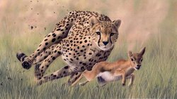 حمله گراز خشمگین به پلنگ + فیلم