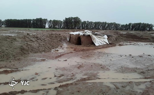 نجات ۱۲۰ راس دام عشایر از سیلاب در نهبندان
