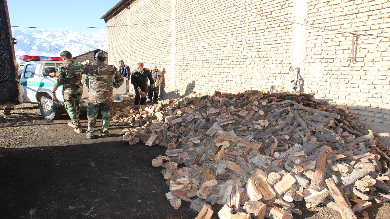 کشف و ضبط چهار تن چوب بلوط قاچاق در شهرستان شهرکرد