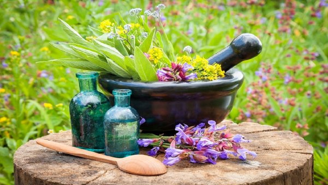 خراسان جنوبی از قطب‌های تولید گیاهان دارویی در کشور