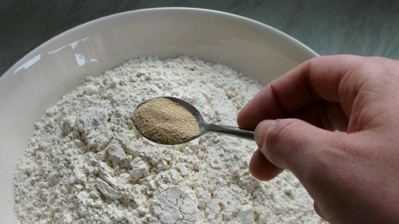 خمیرمایه نان