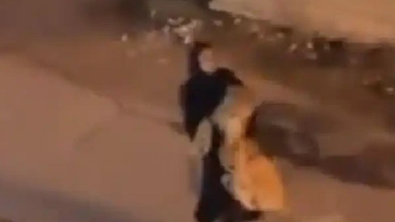 حمل سلطان جنگل توسط یک زن + فیلم