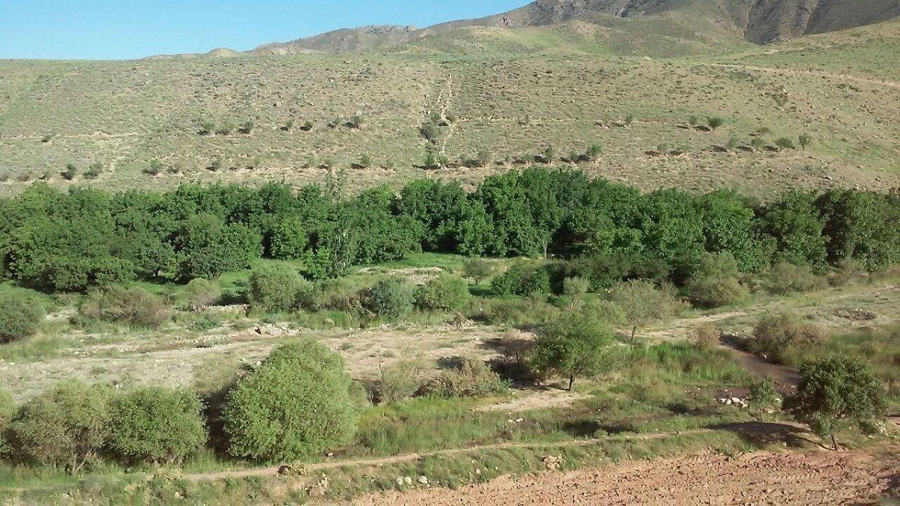 واگذاری بیش از ۹ هزار هکتار از اراضی ملی در تربت‌حیدریه