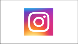 باشگاه خبرنگاران -دانلود اپلیکیشن اینستاگرام Instagram 217.0.0.0.444