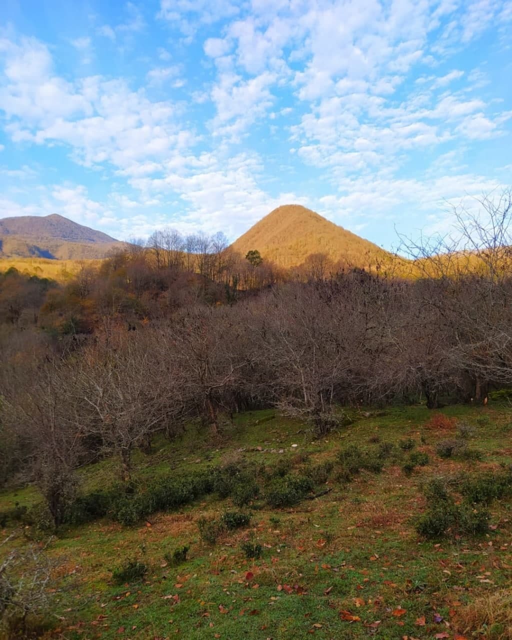 نمای زیبا از روستای لاته در قلب زمستان + فیلم