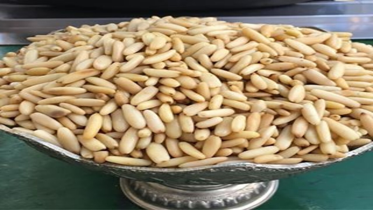 اشتغال ده هزار نفر در صنعت جلغوزه