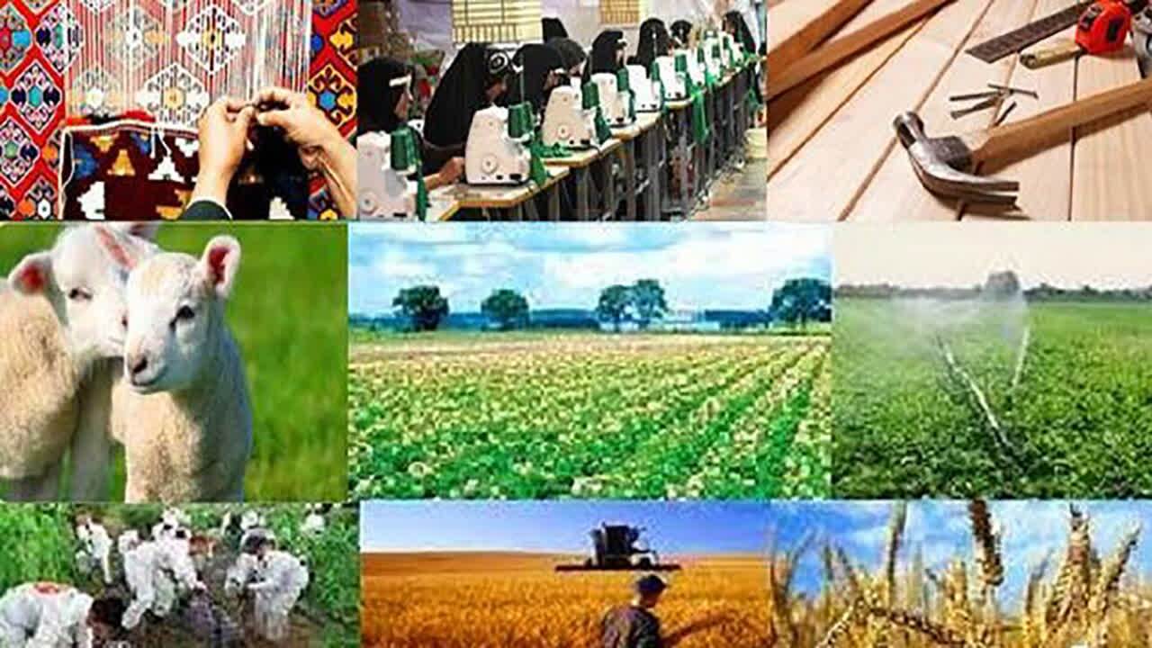 ۵۵۰ فرصت شغلی برای روستاییان مهاباد ایجاد می‌شود