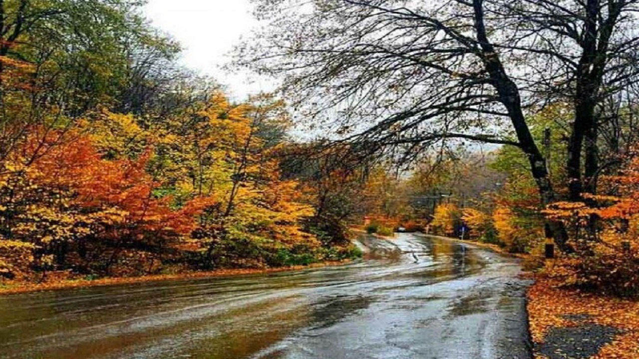 پارک جنگلی النگدره 