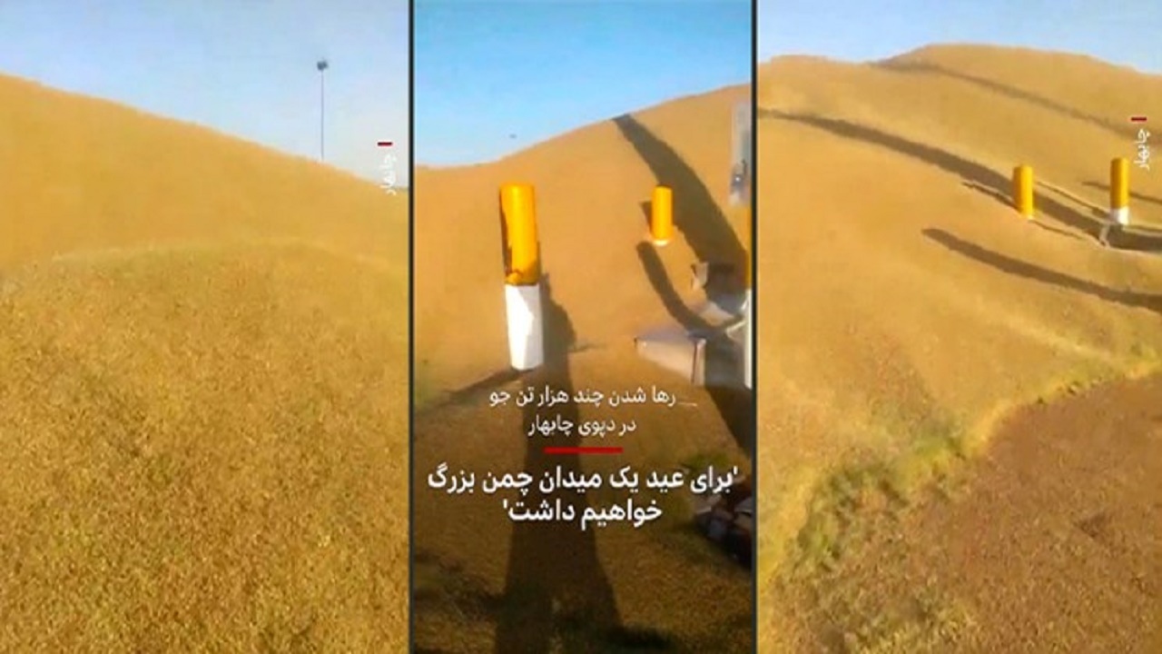 ارز ۴۲۰۰ جوانه زد!