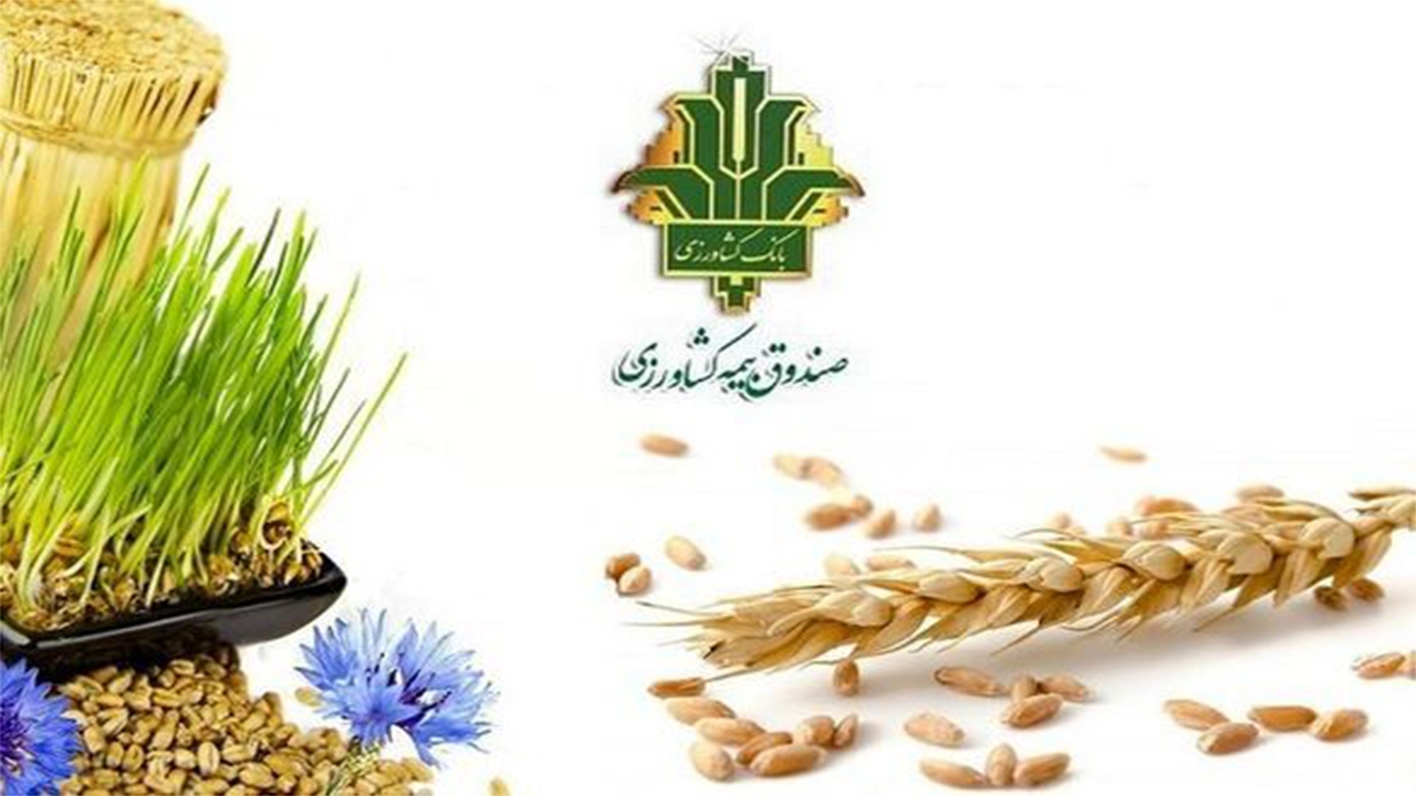 پایان دی، آخرین مهلت بیمه محصولات باغی فارس