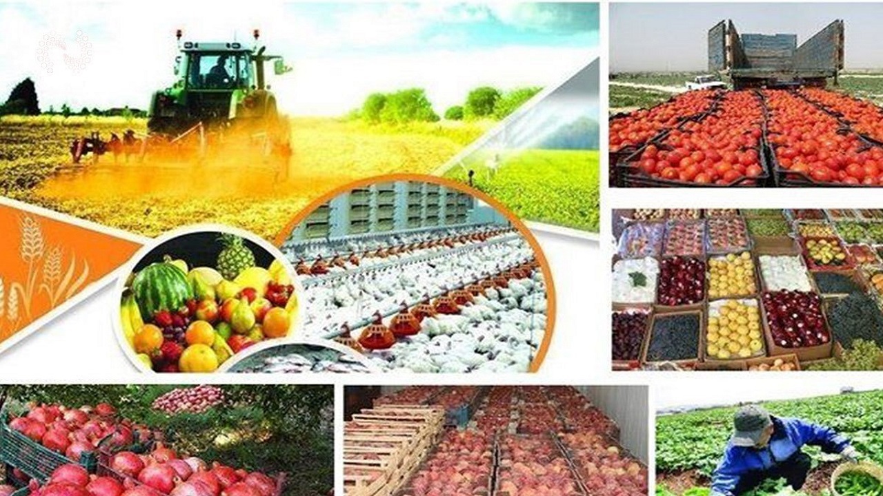 محصولات کشاورزی گیلان و منطقه باید با دقت مورد کنترل قرار گیرند