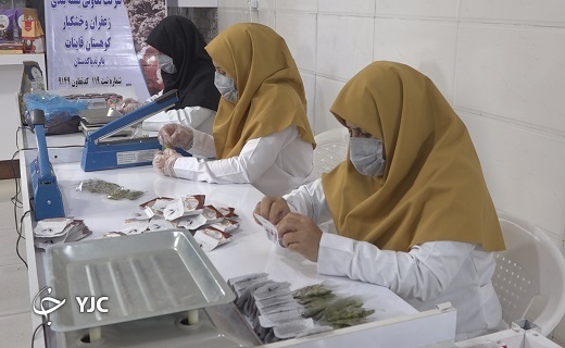 خیز تعاونی&zwnj;های روستایی برای صادرات با ارزآوری ۲۰۰ میلیاردی