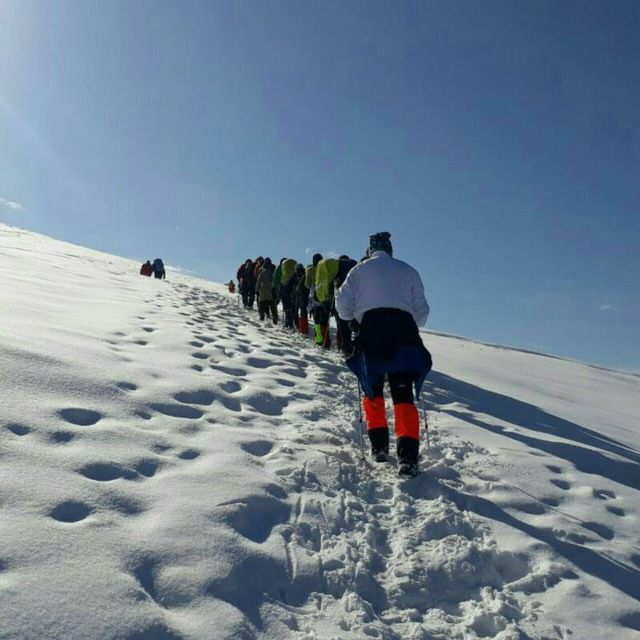 کوهنوردان بابلی به قله گاوکشان صعود کردند + تصاویر