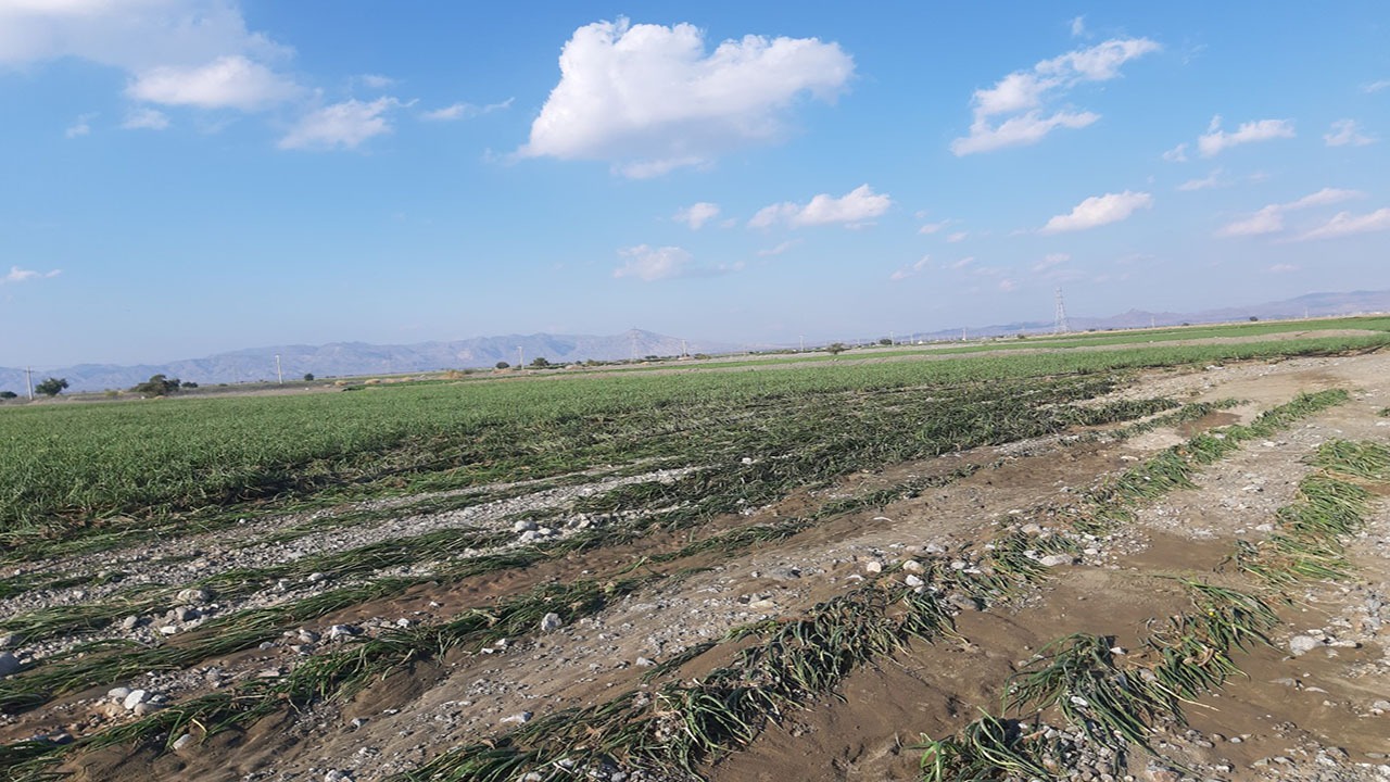 خسارت ۶۲۴ میلیاردی سیل به بخش کشاورزی منوجان