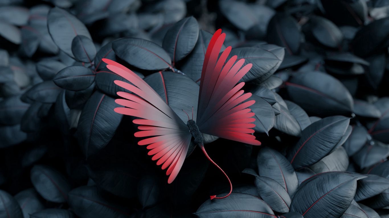 پروانه