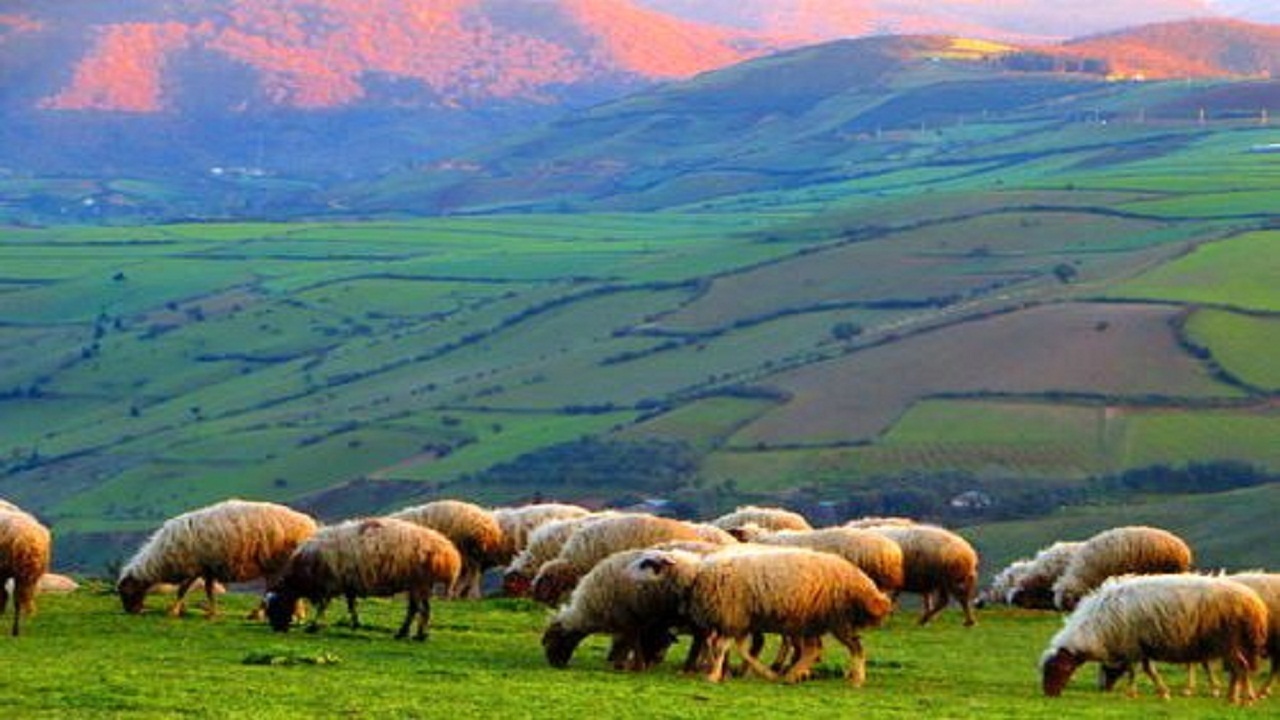آغاز عملیات اجرایی طرح بیولوژیک مرتع در ۱۵۰ هکتار گناباد