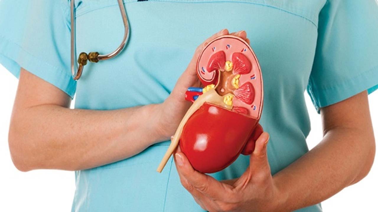 ۳ راهکار برای نگهداری کلیه‌ها