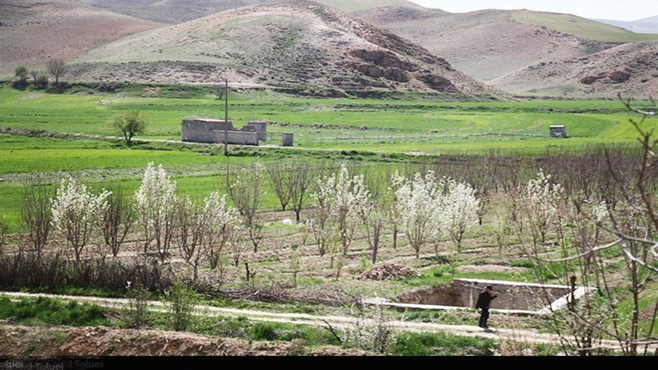 ۸۰ درصد باغ‌های خراسان شمالی فقر عناصر غذایی دارند