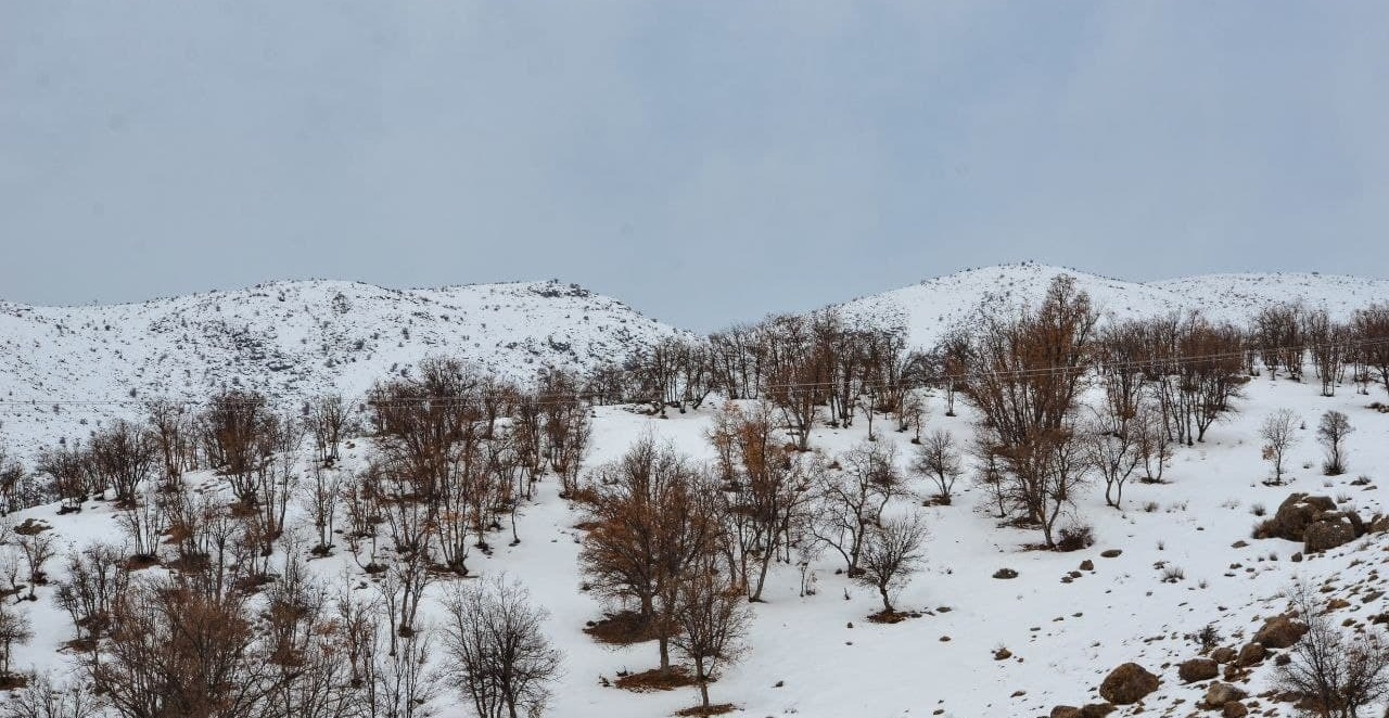 طبیعت زمستانی ارتفاعات زاگرس در سپیدان + تصاویر