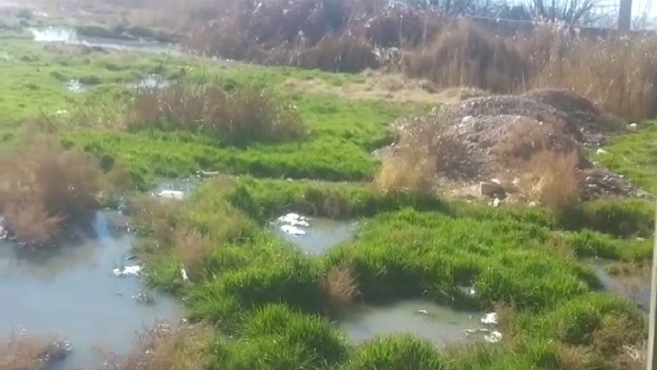 راکد ماندن آب فاضلاب؛ دغدغه چند ساله اهالی روستای قادر آباد + فیلم
