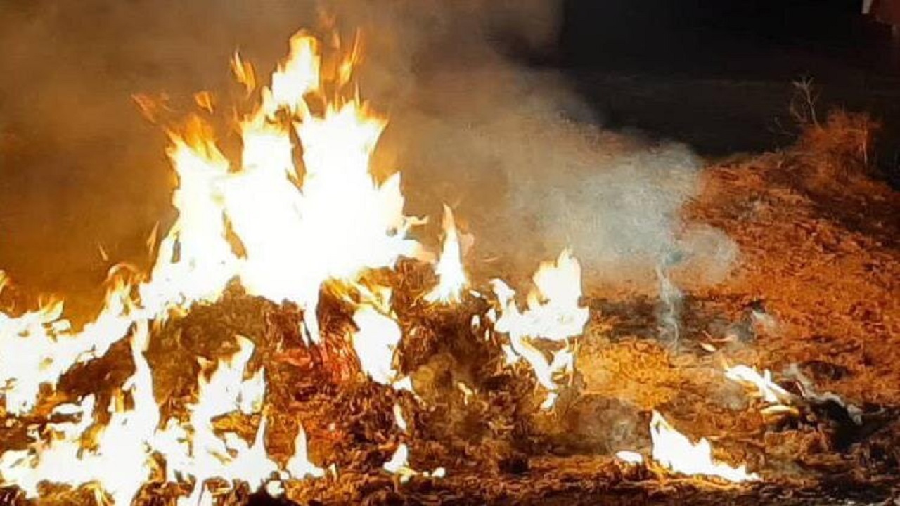 گزارش زباله سوزی از خبرنگاری متفاوت + فیلم