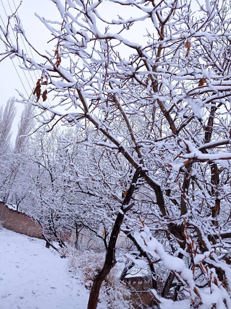 برف زمستانی خوشاب را سفیدپوش کرد + تصاویر
