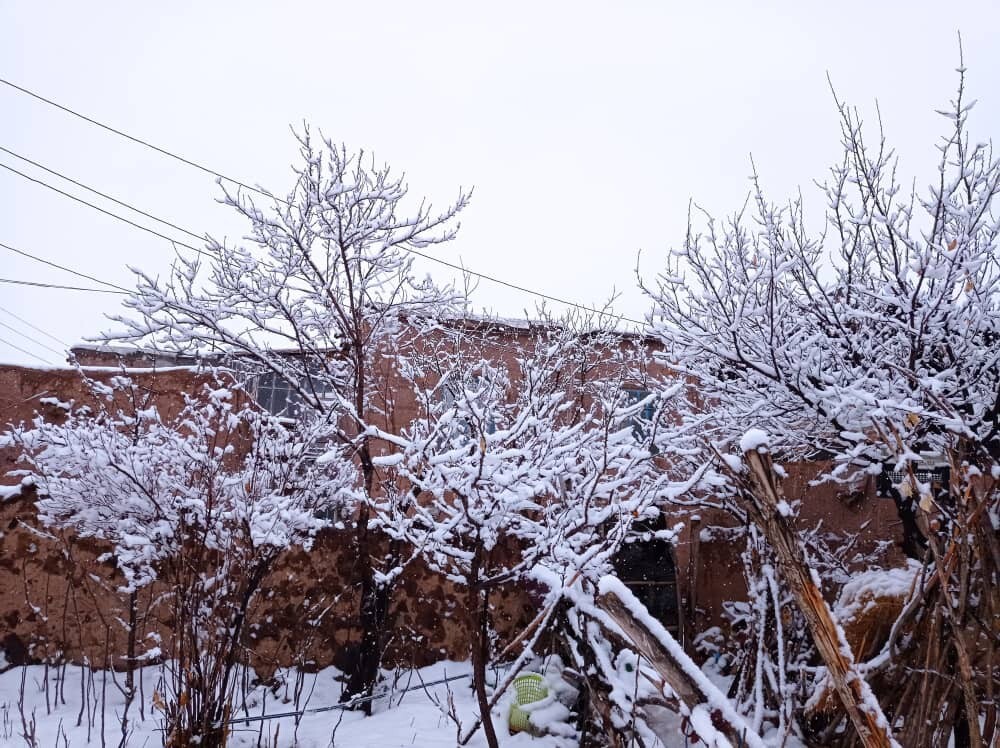 برف زمستانی خوشاب را سفیدپوش کرد + تصاویر