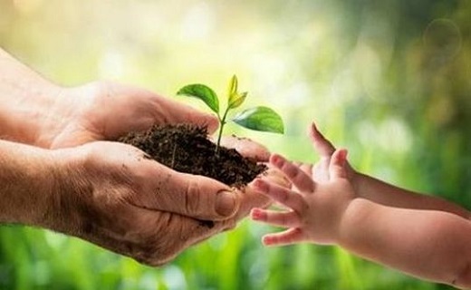 بیکارترین و پرکارترین رشته&zwnj;های دانشگاهی+ درصد اشتغال